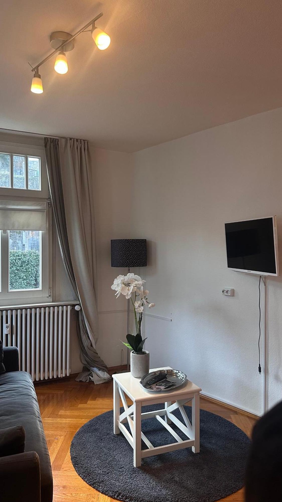 Vikaro Apartment *
